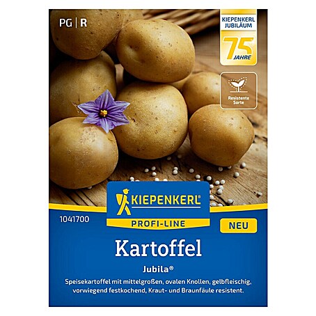 Kiepenkerl Profi-Line Pflanzkartoffeln Jubila® F1 (Solanum tuberosum, 7 Stk., Erntezeit: August)