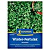 Kiepenkerl Gemüsesamen Portulak Winterportulak 