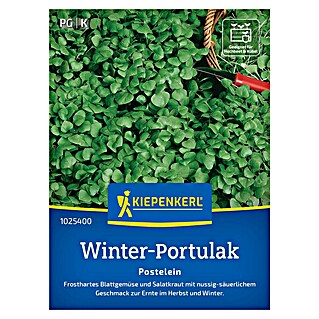 Kiepenkerl Gemüsesamen Portulak Winterportulak (Claytonia perfoliata, Erntezeit: Januar)