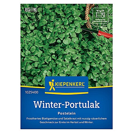 Kiepenkerl Gemüsesamen Portulak Winterportulak (Claytonia perfoliata, Erntezeit: Januar)