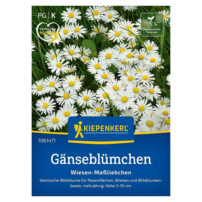 Kiepenkerl Blumensamen Gänseblümchen - Bellis perennis Wiesen-Maßliebchen, Weiß-rosa - Samenpackung mit Gänseblümchen "Wiesen-Maßliebchen" von Kiepenkerl. Heimische Wildblumen für Rasenflächen, Wiesen und Wildblumenbeete.