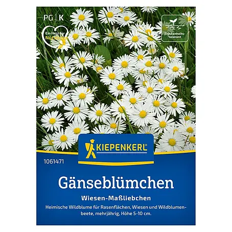 Kiepenkerl  Blumensamen Gänseblümchen