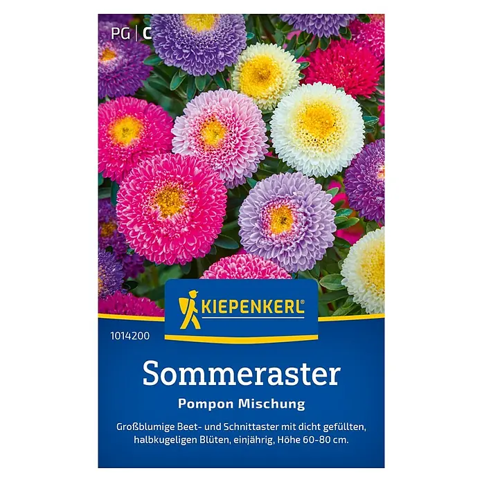 Kiepenkerl Blumensamenmischung Sommeraster Pompon - Sommeraster Pompon, Mehrfarbig - Samentüte mit einer Nahaufnahme von Sommerastern der Marke Kiepenkerl.