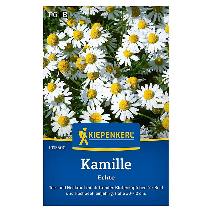 Kiepenkerl Kräutersamen Echte Kamille - Matricaria chamomilla, Saatzeit: März, Erntezeit: Juni - Samenpackung Echte Kamille von Kiepenkerl, einjährige Sorte für Beet und Hochbeet, Höhe 30-40 cm.