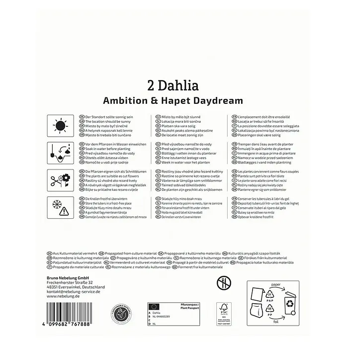 Kiepenkerl Dahlie Ambition & Hapet Daydream - Dahlia x Hybrida, Mehrfarbig - Informationen zu 2 Dahlien 'Ambition & Hapet Daydream' auf der Produktverpackung.