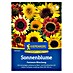 Kiepenkerl Profi-Line Blumensamenmischung Sonnenblume Fantasia 