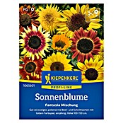 Kiepenkerl Profi-Line Blumensamenmischung Sonnenblume Fantasia (Helianthus annuus, Gelb) | BAUHAUS