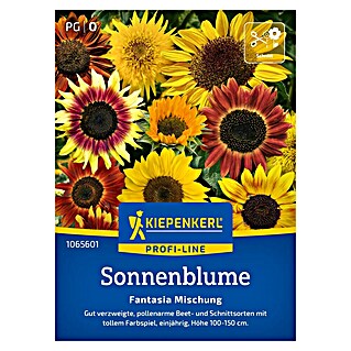Kiepenkerl Profi-Line Blumensamenmischung Sonnenblume Fantasia (Helianthus annuus, Gelb)