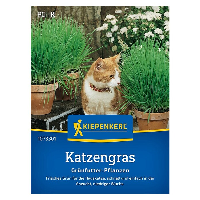 Kiepenkerl Saatgut Katzengras (Mischung) | BAUHAUS