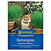 Kiepenkerl Saatgut Katzengras (Mischung) | BAUHAUS