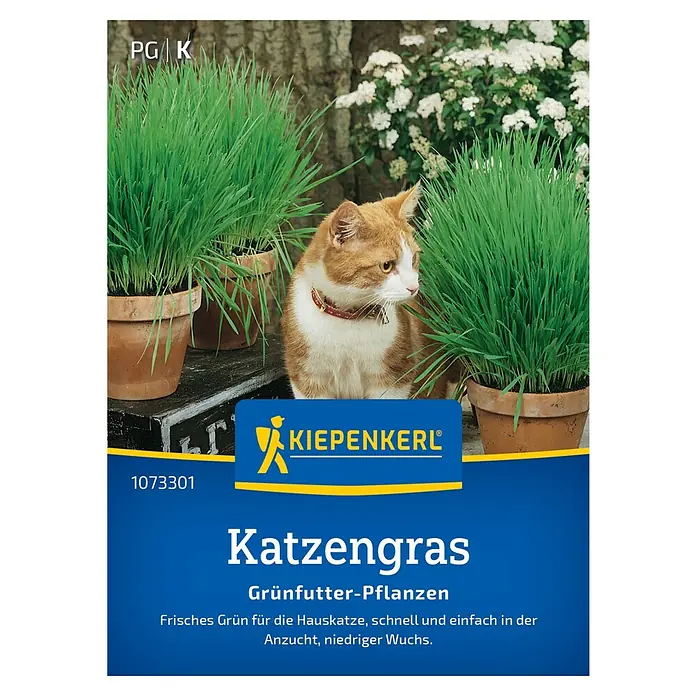 Kiepenkerl Saatgut Katzengras - Mischung - Bild einer Packung Katzengras von Kiepenkerl mit einer Katze, die neben den Graspflanzen sitzt.