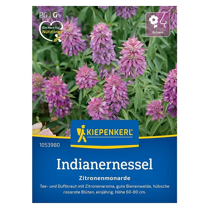 Kiepenkerl Blumensamen Indianernessel - Monarda citriodora, Violett - Bild einer 'Indianernessel' (Monarda) Samenpackung von Kiepenkerl, mit rosaroten Blüten, die Bienen anzieht.