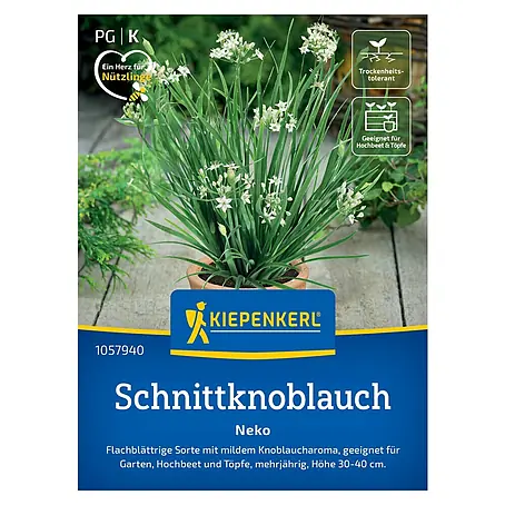 Kiepenkerl  Kräutersamen Schnittknoblauch Neko