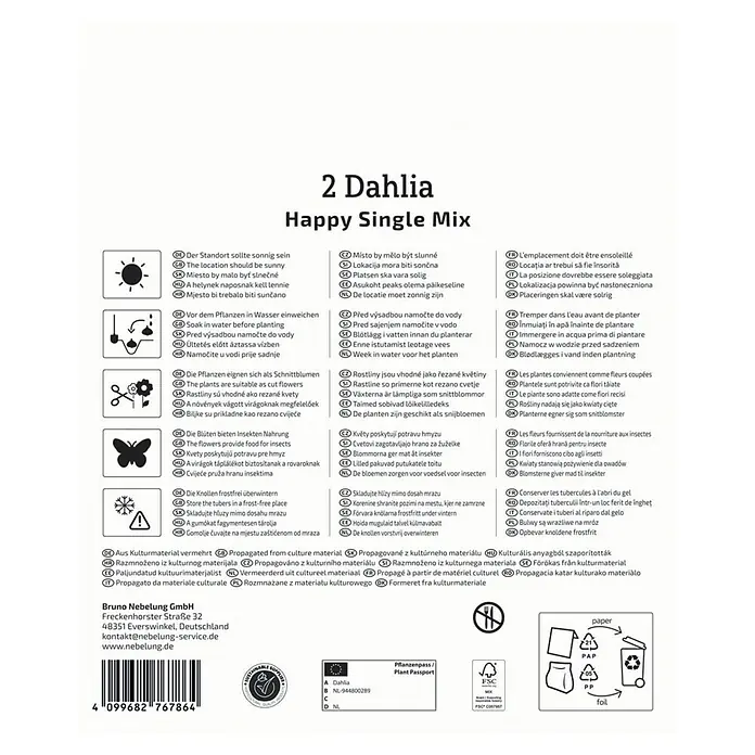 Kiepenkerl Dahlie Happy Single Mix - Dahlia x Hybrida, Mehrfarbig - Bild einer Produktverpackung für 2 Dahlien Happy Single Mix, mit Anbau- und Pflegehinweisen.