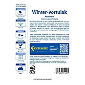 Kiepenkerl Gemüsesamen Portulak Winterportulak (Claytonia perfoliata, Erntezeit: Januar) | BAUHAUS