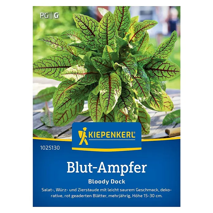 Kiepenkerl Kräutersamen Blut-Ampfer Bloody Dock - Rumex sanguineus, Saatzeit: April, Erntezeit: Mai - Abbildung einer 'Blut-Ampfer' (Bloody Dock) Samenpackung von KIEPENKERL®, einer dekorativen, mehrjährigen Salat- und Würzpflanze mit roten Blättern.