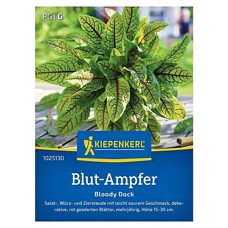 Kiepenkerl  Kräutersamen Blut-Ampfer Bloody Dock