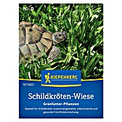 Kiepenkerl Saatgut Schildkrötenmischung Grünfutter-Pflanzen (Mischung) | BAUHAUS