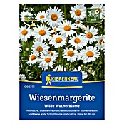 Kiepenkerl Wildblumensamen Wiesenmargerite (Leucanthemum vulgare) | BAUHAUS