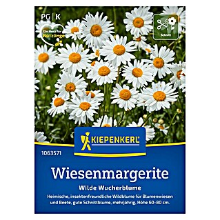 Kiepenkerl Wildblumensamen Wiesenmargerite (Leucanthemum vulgare)