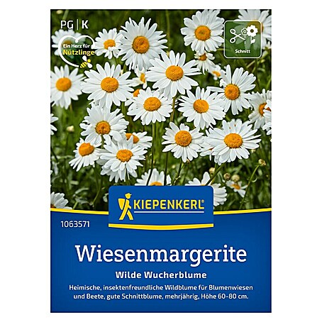 Kiepenkerl Wildblumensamen Wiesenmargerite (Leucanthemum vulgare)
