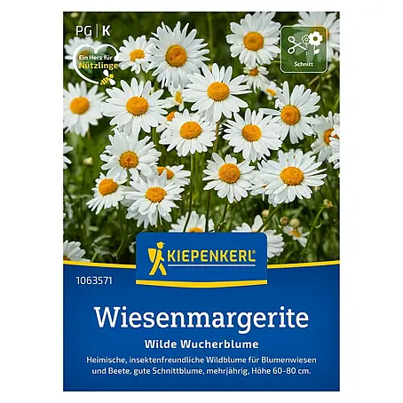 Kiepenkerl  Wildblumensamen Wiesenmargerite