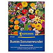 Kiepenkerl Blumensamenmischung Buntes Sommerwunder (Mischung, Mehrfarbig) | BAUHAUS
