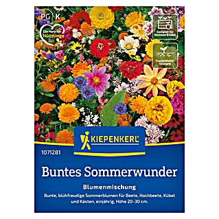 Kiepenkerl Blumensamenmischung Buntes Sommerwunder (Mischung, Mehrfarbig)