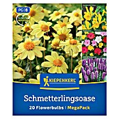Kiepenkerl Mešana cvetlična semena Metuljeva oaza  (Večbarvna) | 8113 - Frühjahrsblumenzwiebeln | IBXA - Blumenzwiebeln | IBX - Blumenzwiebeln | IB - Grünpflanzen/Sämereien | I - Stadtgarten | BAUHAUS