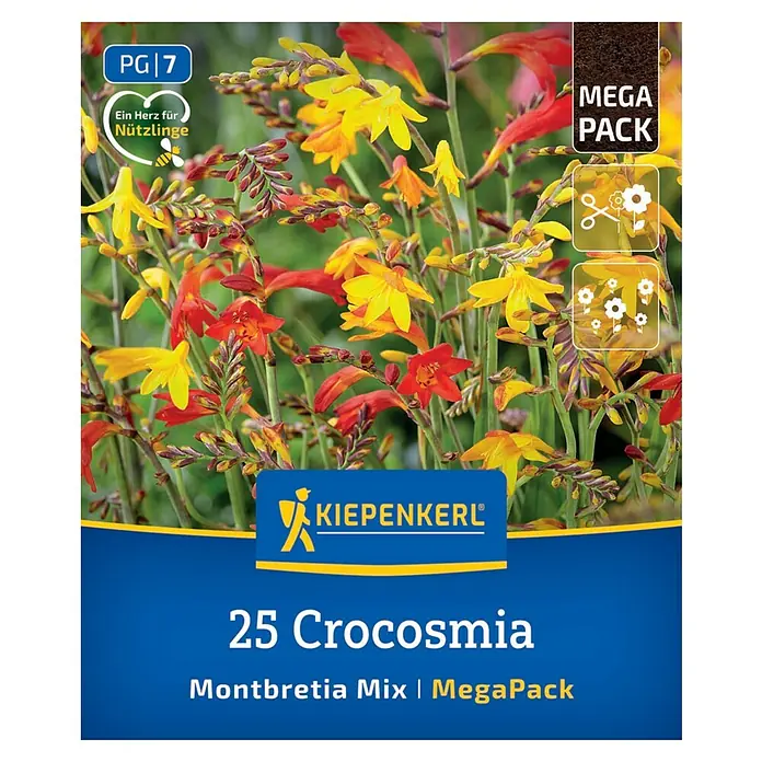 Kiepenkerl Blumensamenmischung Montbretien Mischung - Crocosmia crocosmiiflora, Mehrfarbig - Samenpackung mit 25 Crocosmia Montbretia Mix. Ein farbenfroher Blickfang für jeden Garten, ideal für Blumenbeete.
