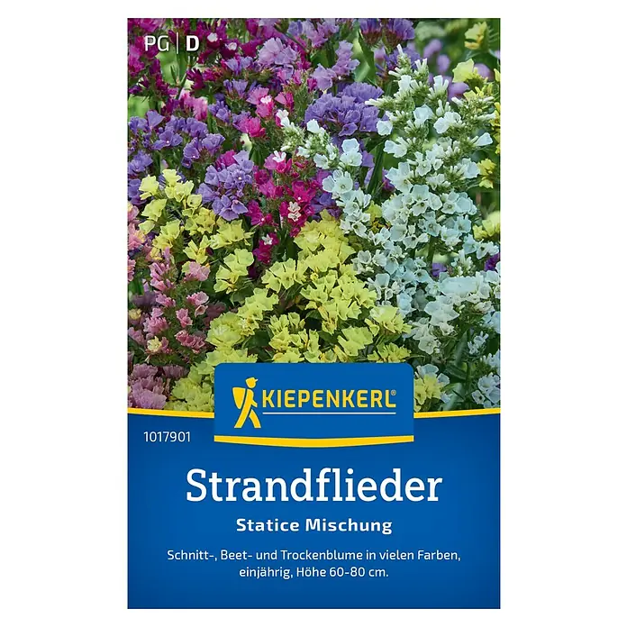 Kiepenkerl Blumensamenmischung Strandflieder Statice - Limonium sinuatum, Mehrfarbig - Die Kiepenkerl Strandflieder Statice Mischung bietet eine farbenfrohe Vielfalt für Beet, Schnitt und Trockenblumen. Einjährig und ca. 60-80 cm hoch.