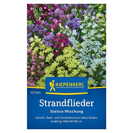 Kiepenkerl  Blumensamenmischung Strandflieder Statice