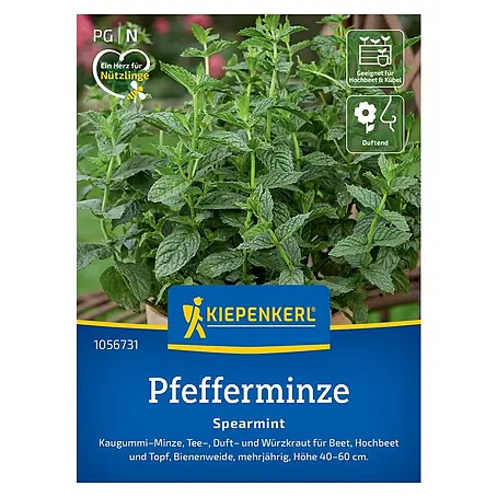 Kiepenkerl  Kräutersamen Pfefferminze Spearmint