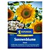 Kiepenkerl Profi-Line Blumensamen Sonnenblume Snack 