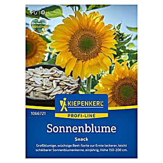 Kiepenkerl Profi-Line Blumensamen Sonnenblume Snack (Helianthus annuus, Gelb)