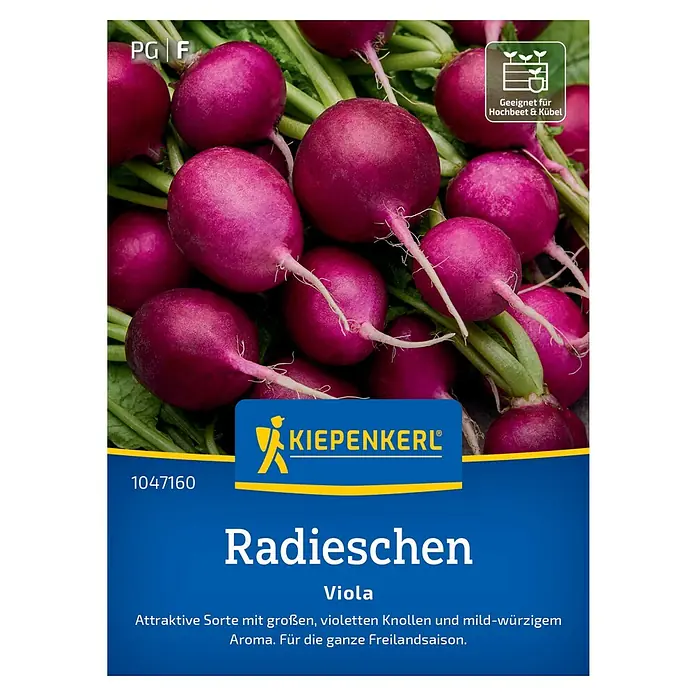 Kiepenkerl Gemüsesamen Radieschen Viola - Raphanus sativus sativus, Erntezeit: April - Samenpackung für "Radieschen Viola" von KIEPENKERL. Attraktive Sorte mit violetten Knollen, geeignet für Hochbeete und Kübel.
