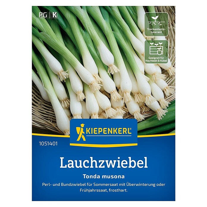 Kiepenkerl Steckzwiebeln Lauchzwiebel Tonda Musona (Allium cepa, Erntezeit: April) | BAUHAUS