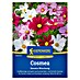 Kiepenkerl Profi-Line Blumensamenmischung Cosmos 