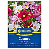 Kiepenkerl Profi-Line Blumensamenmischung Cosmos (Cosmos Sonata, Mehrfarbig) | BAUHAUS