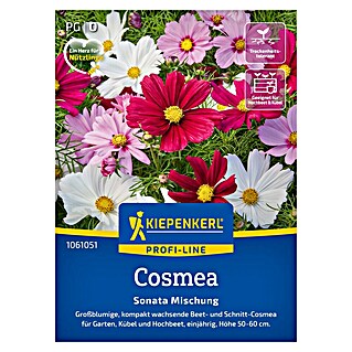 Kiepenkerl Profi-Line Blumensamenmischung Cosmos (Cosmos Sonata, Mehrfarbig)