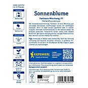 Kiepenkerl Profi-Line Blumensamenmischung Sonnenblume Fantasia (Helianthus annuus, Gelb) | BAUHAUS