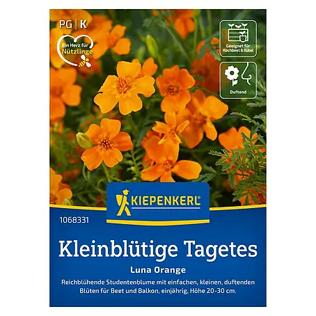 Kiepenkerl  Blumensamen Kleinblütige Tagetes Luna Orange