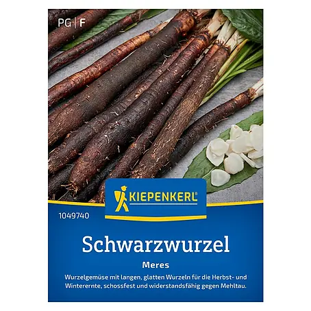 Kiepenkerl  Gemüsesamen Schwarzwurzel Meres