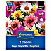 Kiepenkerl Dalija Happy Single Mix 