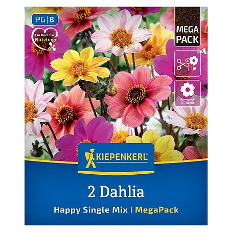 Kiepenkerl  Dahlie Happy Single Mix