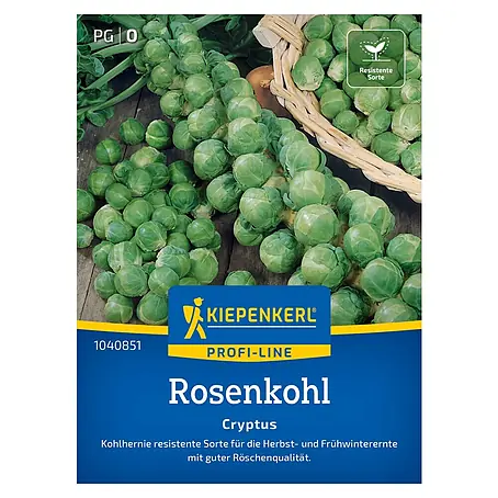 Kiepenkerl  Gemüsesamen Rosenkohl Cryptus, F1