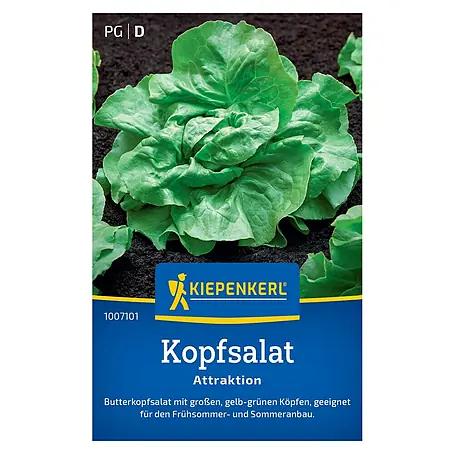 Kiepenkerl  Gemüsesamen Kopfsalat Attraktion