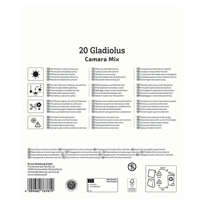 Kiepenkerl Blumensamenmischung Gladiole Camara Mischung - Gladiolus x Hybrida, Mehrfarbig - Bild der Produktverpackung von 20 Gladiolus Camara Mix mit Pflanz- und Pflegehinweisen.