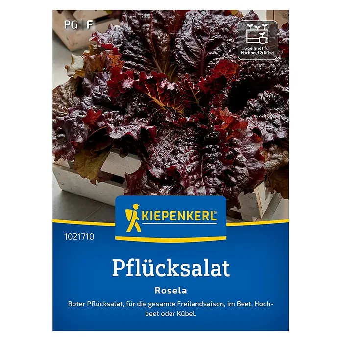 Kiepenkerl Gemüsesamen Pflücksalatsamen Rosela - Lactuca sativa, Erntezeit: Mai - Das Bild zeigt eine Packung Pflücksalat Rosela Samen der Marke Kiepenkerl, geeignet für Beet, Hochbeet und Kübel.
