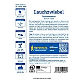 Kiepenkerl Steckzwiebeln Lauchzwiebel Tonda Musona (Allium cepa, Erntezeit: April) | BAUHAUS